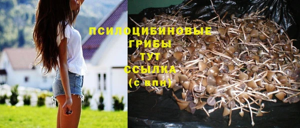 хмурый Белоозёрский