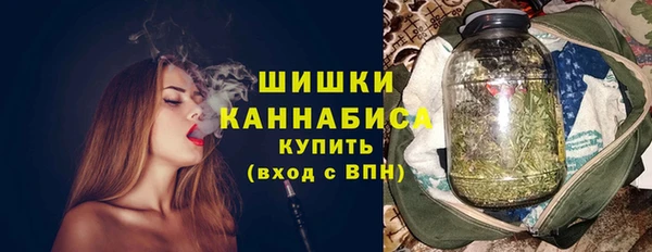 индика Богородск