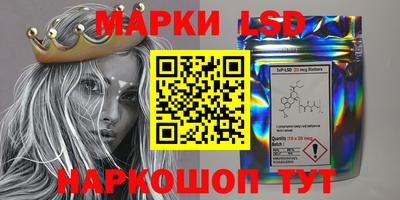 дживик Владимир