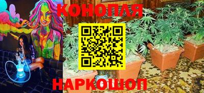 гидропоника Владивосток