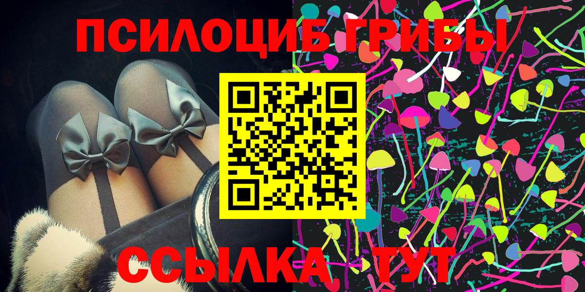 Галлюциногенные грибы Psilocybe Бутурлиновка