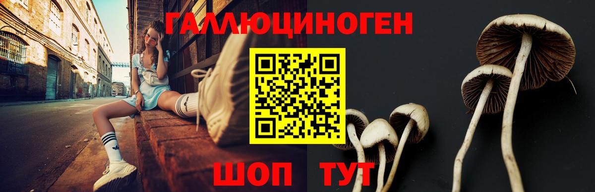 Бутурлиновка  Галлюциногенные грибы Cubensis  Вход с VPN 
